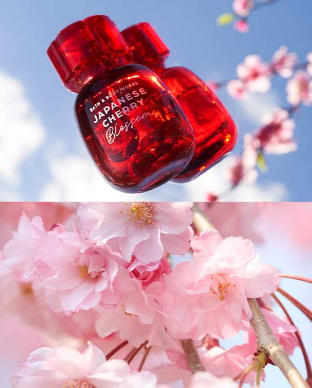 Japanese Cherry Blossom fragrance mist against a flowering branch